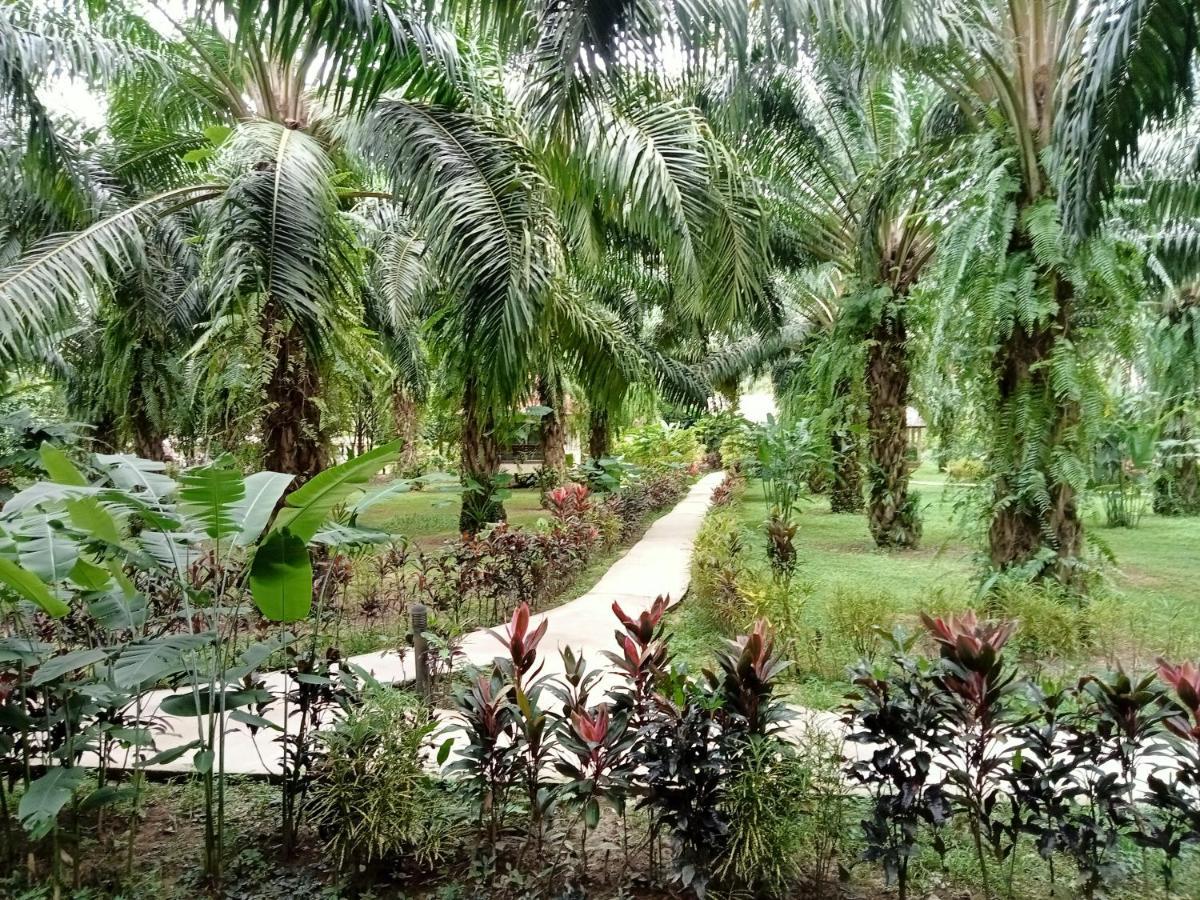 Khao Sok Palm Garden Resort Khao Sok National Park Exterior foto