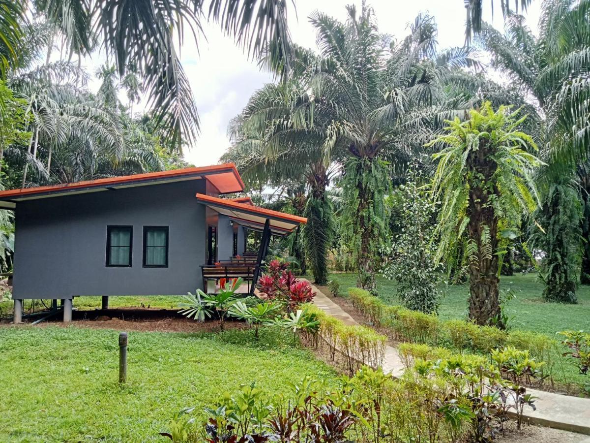 Khao Sok Palm Garden Resort Khao Sok National Park Exterior foto