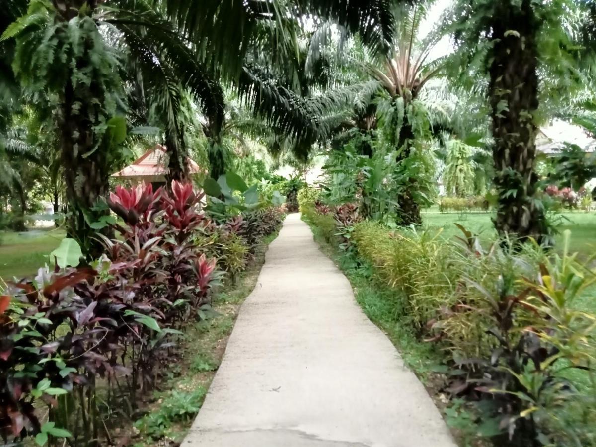 Khao Sok Palm Garden Resort Khao Sok National Park Exterior foto