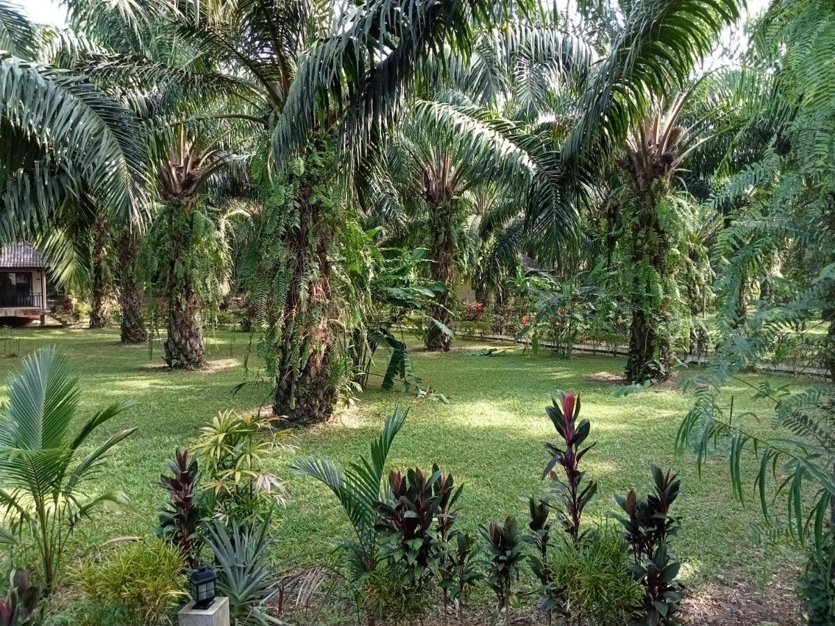Khao Sok Palm Garden Resort Khao Sok National Park Exterior foto