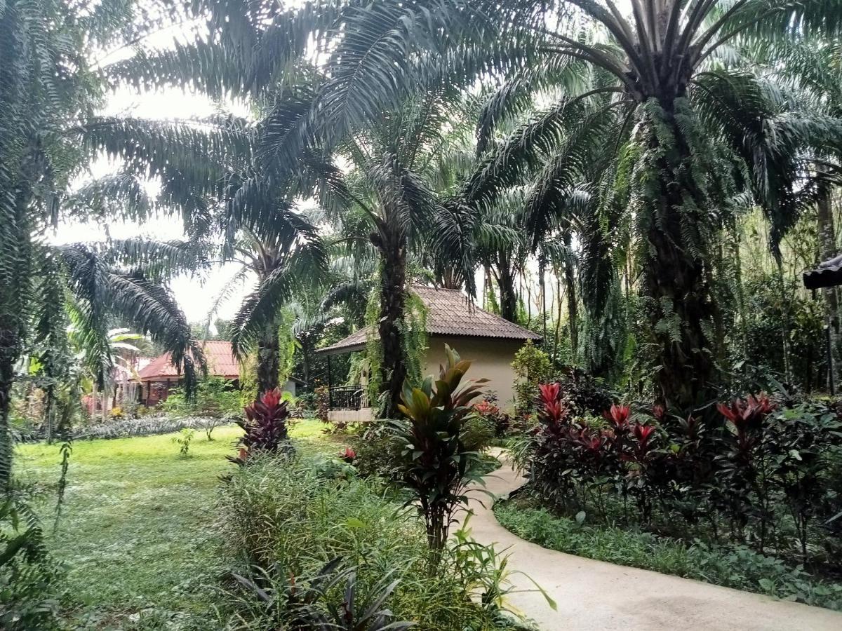 Khao Sok Palm Garden Resort Khao Sok National Park Exterior foto
